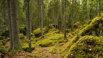 Fototapeta na wymiar Hautvuori, southern Finland. A natural rock formation that was used as a hideout and defensive position against enemies at the time Iron Age.
