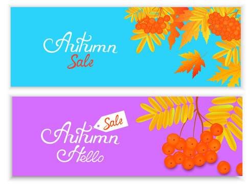 Autumn Sale backgrounds with falling leaves and rowan berries. Hand inscription.