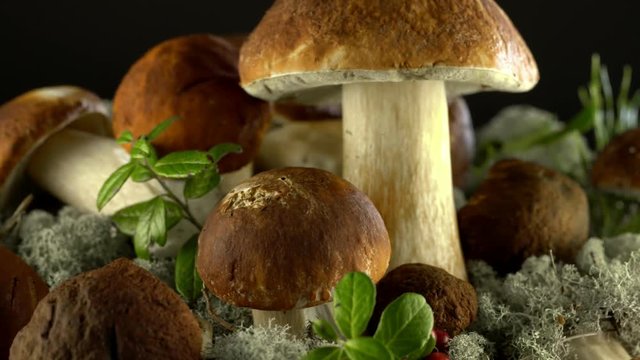 Forest mushrooms. Cepes. Natural product. Delicacy Rotation 4K