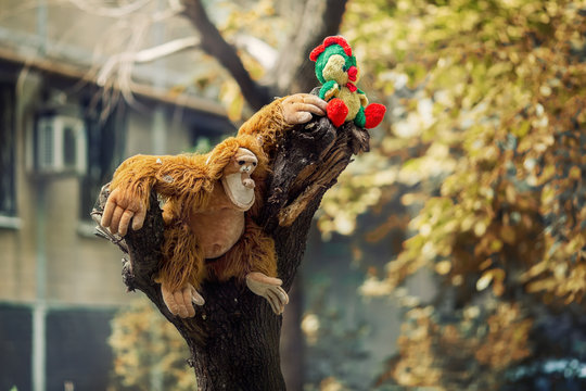 Soft toys on the tree