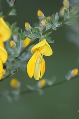 una passeggiata nel bosco