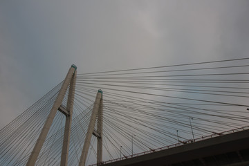 Obraz premium Cable stayed bridge on Neva river in of St. Petersburg at cloud autumn evening, Russia.