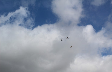 Three biplanes flying
