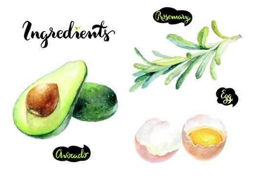 Avocado Egg Rosemary Watercolor Hand Drawn Illustration Set