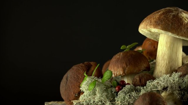 Forest mushrooms. Cepes. Natural product. Delicacy Rotation 4K
