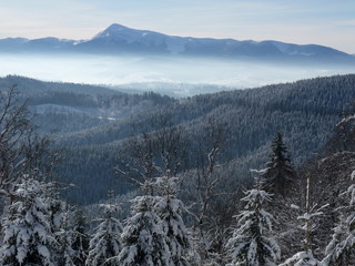 winter fog in the mountains