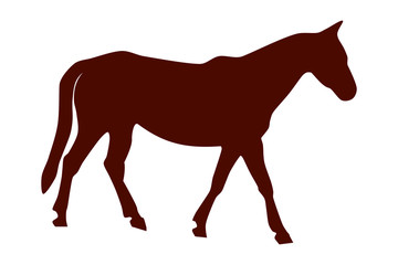 Fototapeta na wymiar Vector illustration of a brown horse isolated in a transparent or white background. The body of a horse.