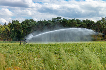 BUDEL, NETHERLANDS - JULY 31 2018: Farmers fight with water sprinklers against the drought on their land