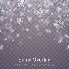 Fototapeta premium Falling Christmas snow.