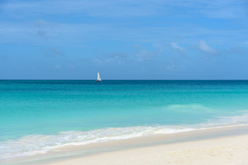 Fototapeta na wymiar Idyllic shore of a caribbean beach