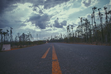 Estrada de Picos, Paiuí