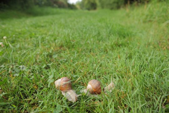 Chemin &agrave; Deux