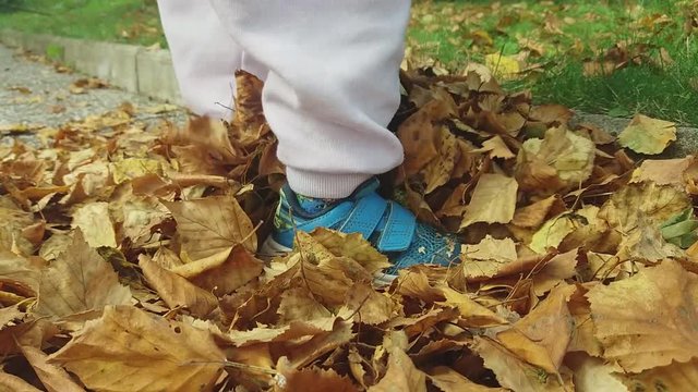 Close up of a toddler stomping on dry leaves while wearing Adidas shoes. Only feet are visible. This takes place on a concrete path. On the end she walks away.