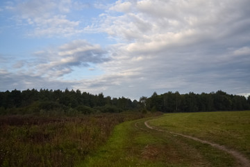 Sky with clouds. Field and forest.
