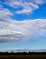 Obraz na płótnie Canvas Sky with clouds. Field and forest.