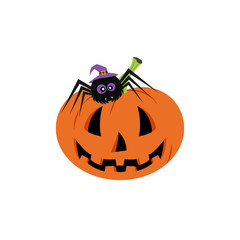 Set with Halloween pumpkin and spider. Background is separate. Happy Halloween Day.