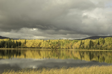 landscape with river and grey sky
