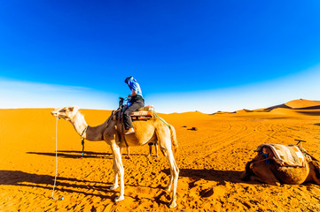 View on Girl on camel doing camel trek in the desert of Morocco nexto M'hamid