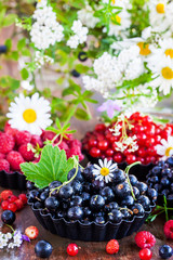 Fresh ripe summer berries - black currant in the foreground and red currant, blueberry, raspberry on background
