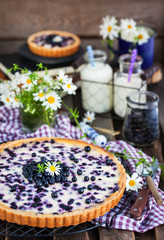 Fresh homemade creamy blueberry tart (open pie) on rustic background
