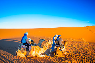 Persons doing camel trek in the desert of Morocco next to M'hamid