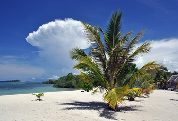 Flores, Indonesia