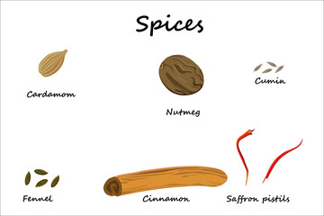 illustrated spices