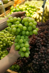 juicy ripe grapes in the hands of a woman in the supermarket