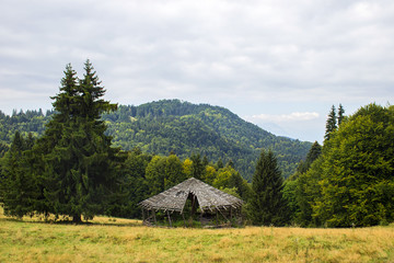 Old log cabin in the forest