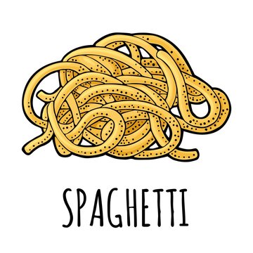 Spaghetti. Vector vintage engraving color illustration isolated on white background.