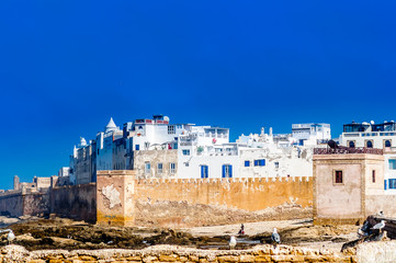 Obraz premium Historical buildings of old city in Essaouira - Morocco