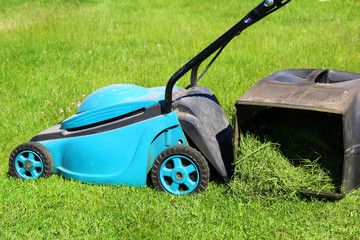 Fototapeta premium Electric lawn mower with a box for collecting grass