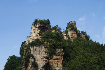Fototapeta na wymiar tree in the mountains cliff