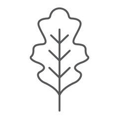 Oak leaf thin line icon, nature and botany, foliage sign, vector graphics, a linear pattern on a white background.