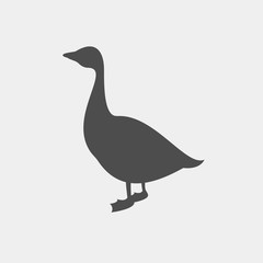 Goose vector silhouette. Farm animal silhouette