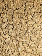 Background - sun-dried soil in cracks.