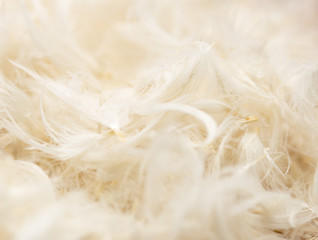 Fluff on cloth