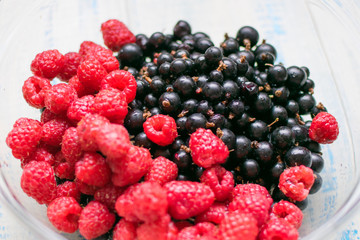 Berries of raspberries and black currants.