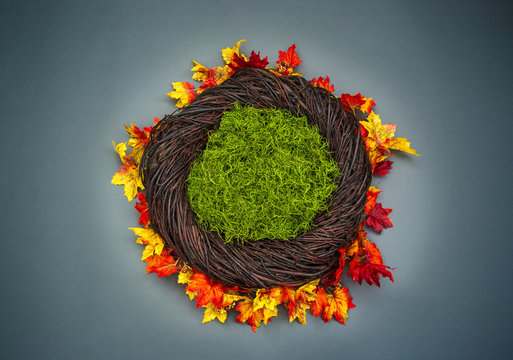 Infant Nest Fantasy Background Photo Prop with colorful fall leaves and moss Isolated on brown wooden background
