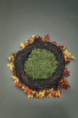 Infant Nest Fantasy Background Photo Prop with fall leaves and moss Isolated on gray green background.