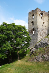 Fototapeta na wymiar Ruins of Brekov Castle, Slovakia