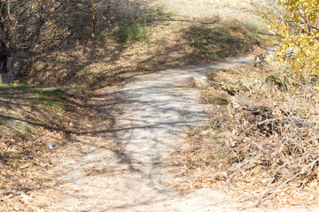 trail in the village