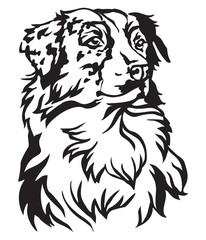 Decorative portrait of Dog Australian shepherd vector illustration