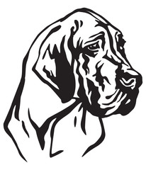 Decorative portrait of Dog Great Dane vector illustration