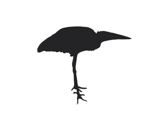 Digitally handdrawn Silhouette of a sea bird isolated on white background