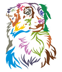 Colorful decorative portrait of Dog Australian shepherd vector illustration