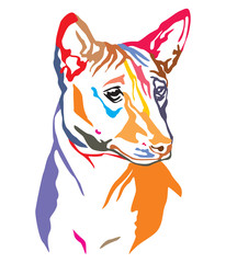 Fototapeta na wymiar Colorful decorative portrait of Dog Basenji vector illustration