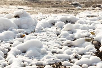 snow on the ground in nature