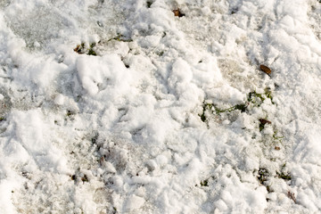 snow on the ground in nature