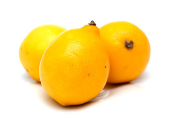 lemon on a white background